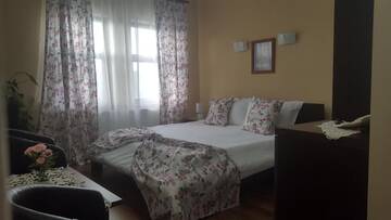 Фото номера Двухместный номер с 1 кроватью Фермерские дома Pensiunea Casa Ana г. Gladna Romînă 5