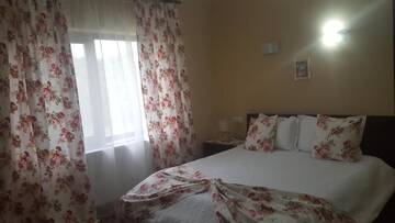 Фото номера Двухместный номер с 1 кроватью Фермерские дома Pensiunea Casa Ana г. Gladna Romînă 6