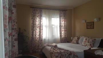 Фото номера Двухместный номер с 1 кроватью Фермерские дома Pensiunea Casa Ana г. Gladna Romînă 7