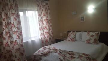 Фото номера Двухместный номер с 1 кроватью Фермерские дома Pensiunea Casa Ana г. Gladna Romînă 11