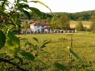 Фото Фермерские дома Pensiunea Casa Ana г. Gladna Romînă